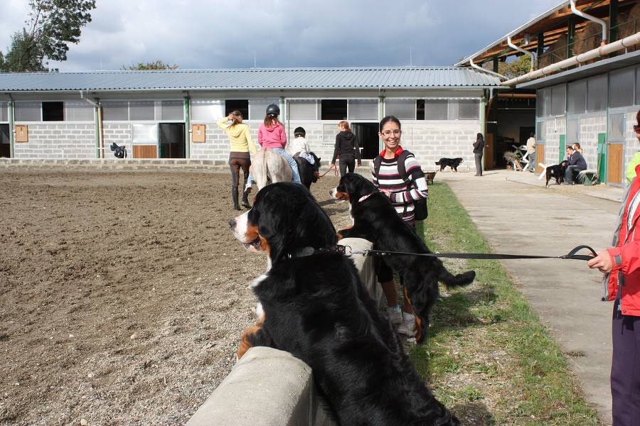 Cituška - Slovenská klubovka Čierna Voda