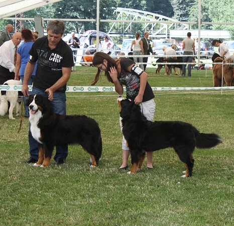 NVP Ml. Boleslav - Ruthy V1, CAJC