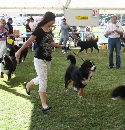 NVP Ml. Boleslav - Ruthy V1, CAJC