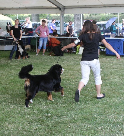 NVP Ml. Boleslav - Ruthy V1, CAJC