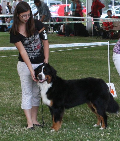 NVP Ml. Boleslav - Ruthy V1, CAJC