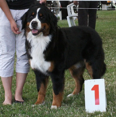 NVP Ml. Boleslav - Ruthy V1, CAJC