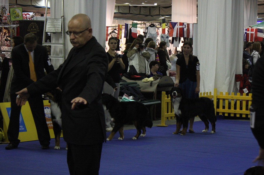 Cita - World Dog Show 2009 - Bratislava