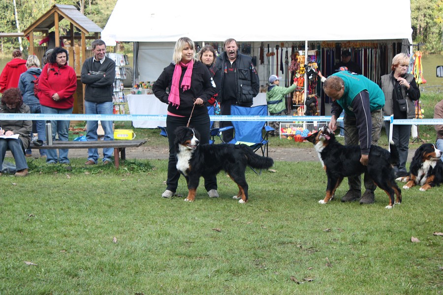 Avery Ladyca Bern - VN1 a Nejlepší dorost SV (6 měsíc