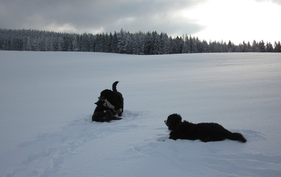 Sivestr 2010 Deštné