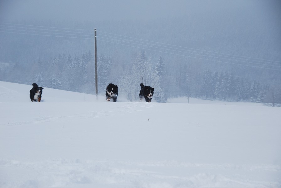 Sivestr 2010 Deštné