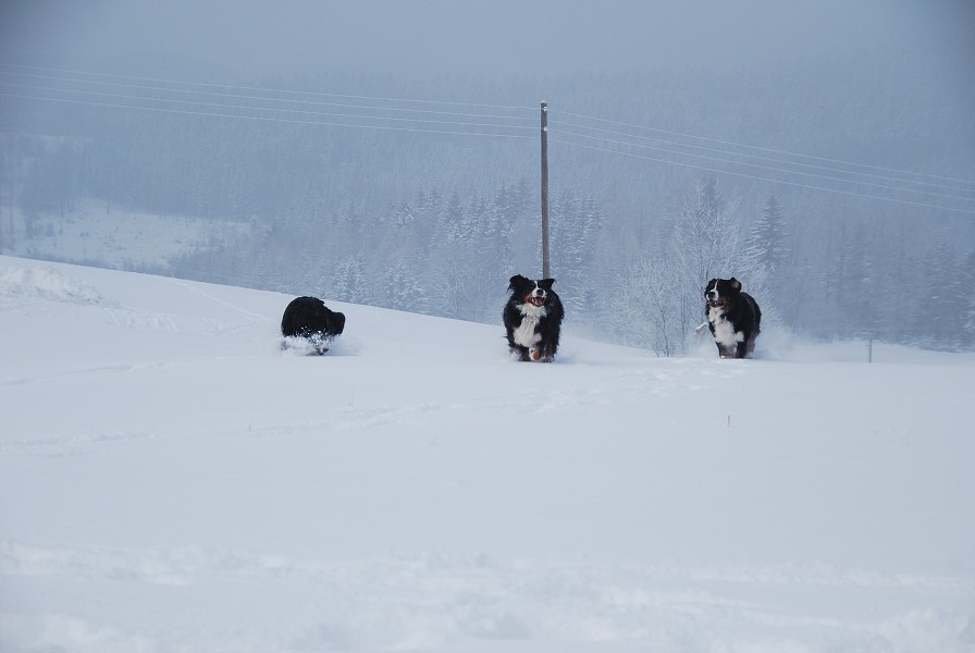 Sivestr 2010 Deštné