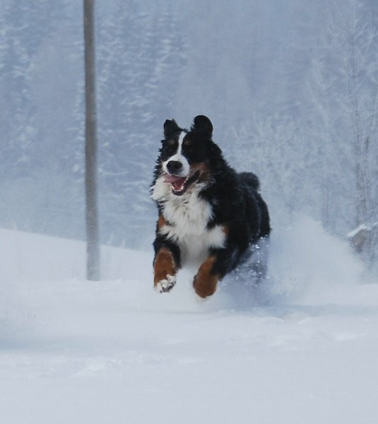 Sivestr 2010 Deštné