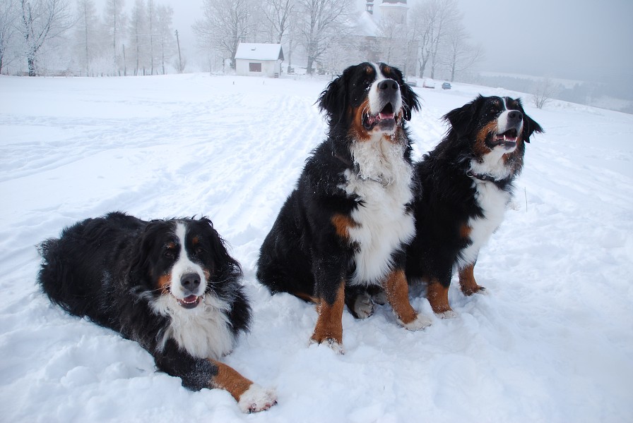 Sivestr 2010 Deštné