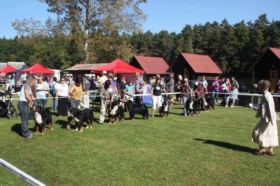 Cita ze Slunného dvora - Klubovka - Tábor - V4
