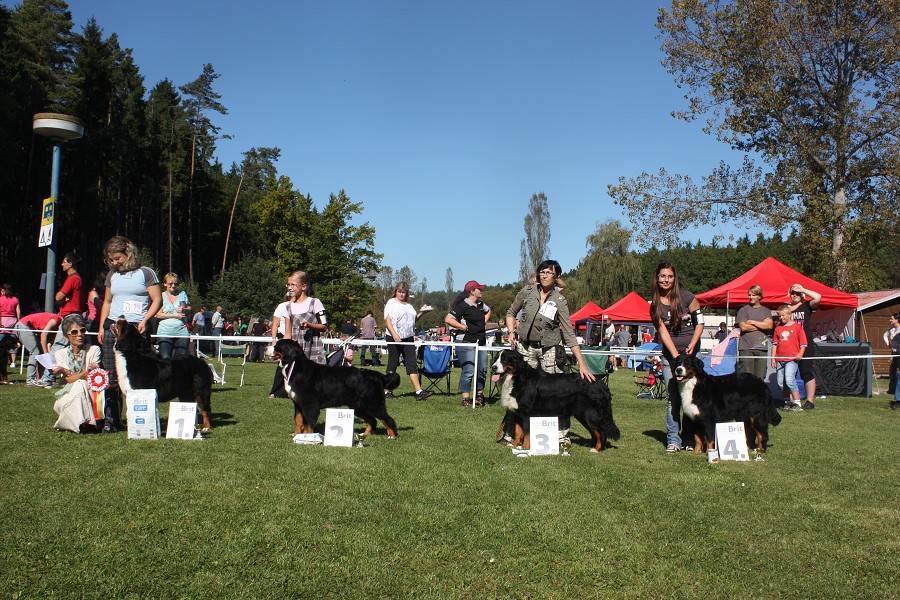 Cita ze Slunného dvora - Klubovka - Tábor - V4