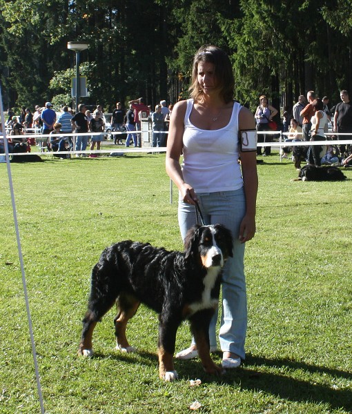 Bellita Olivia a Brionny Ruth Ladyca Bern - Klubovka 