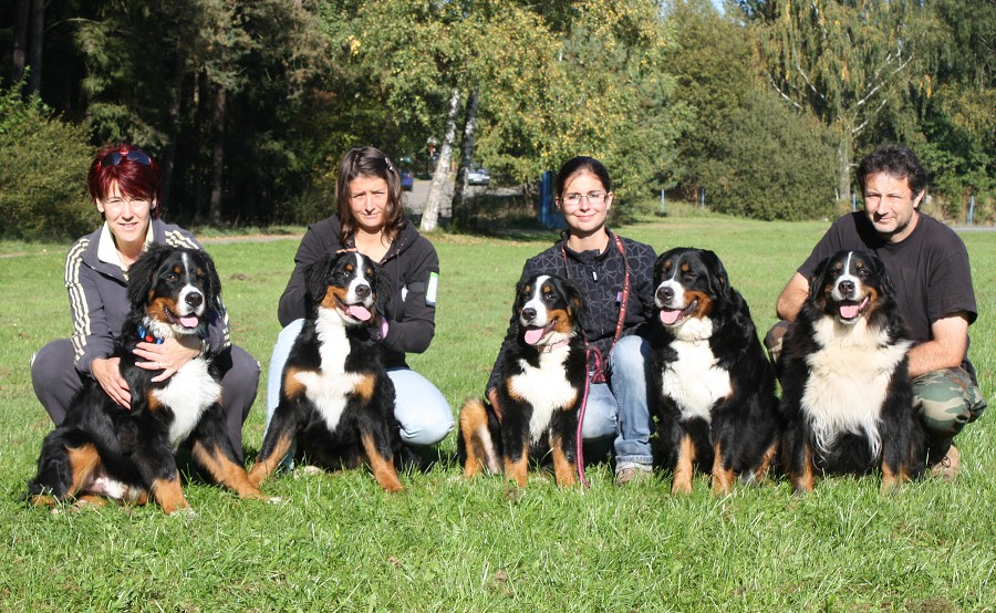 Svod mladých - Ladyca Bern Vrh B - podzim 2011