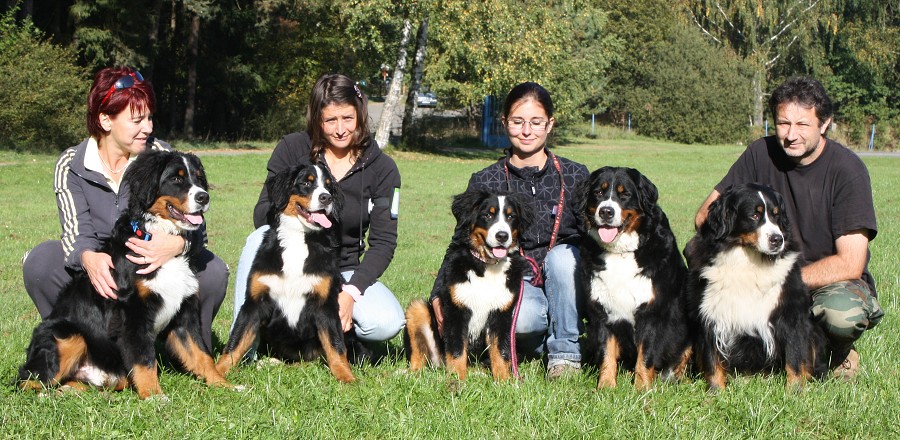 Svod mladých - Ladyca Bern Vrh B - podzim 2011