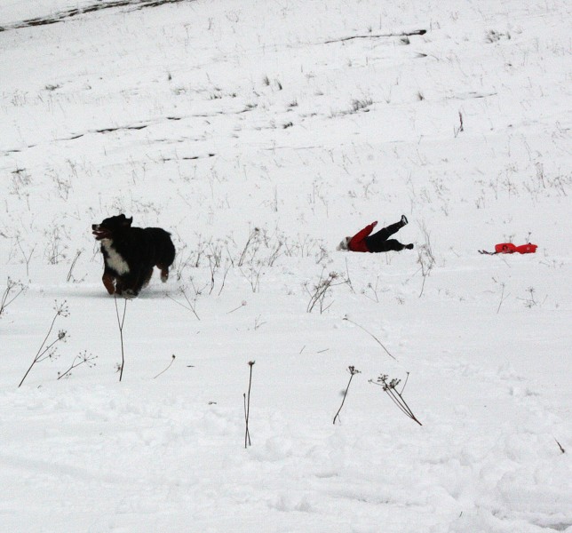 Orlické hory - Silvestr 2011