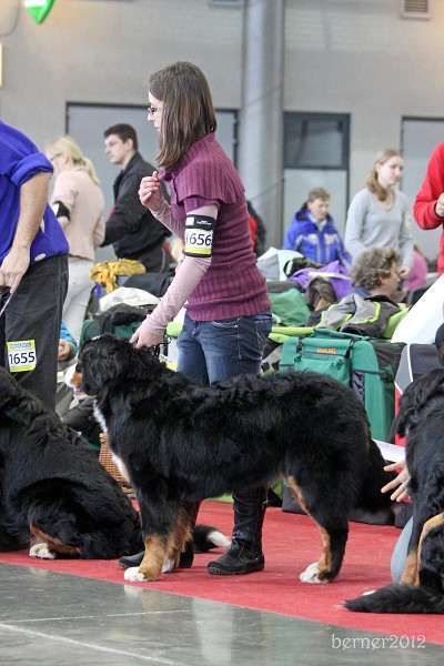 CAC Brno - Brionny Ruth - Výborná