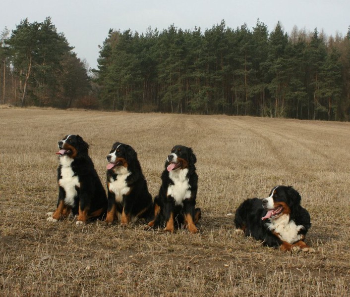 Březen 2012 - společná procházka