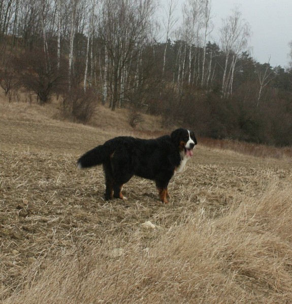 Březen 2012 - společná procházka