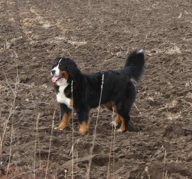 Březen 2012 - společná procházka