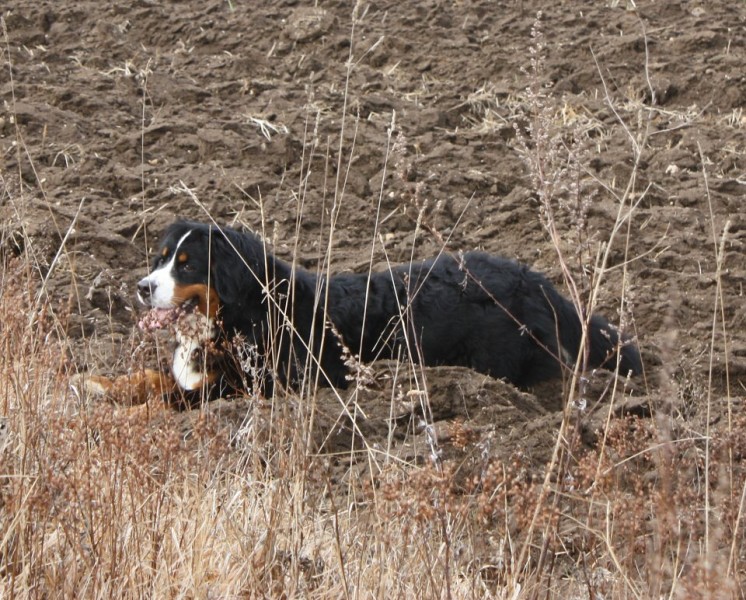 Březen 2012 - společná procházka