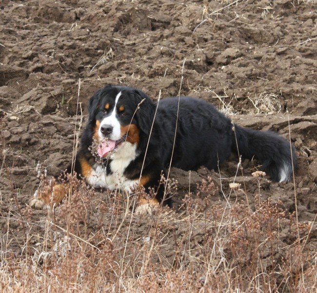 Březen 2012 - společná procházka