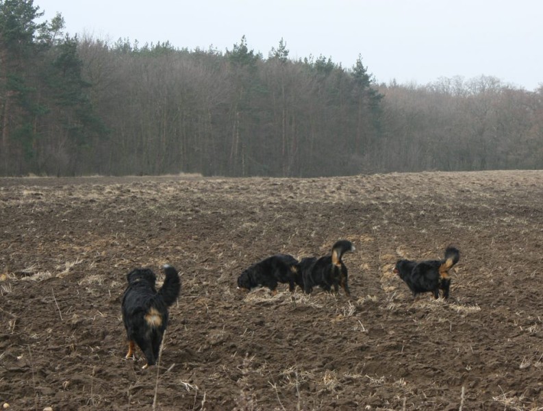 Březen 2012 - společná procházka