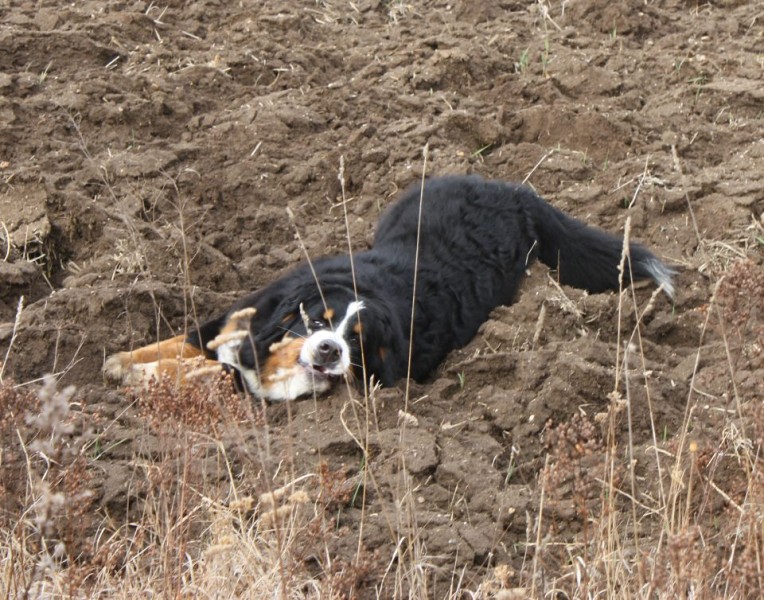 Březen 2012 - společná procházka