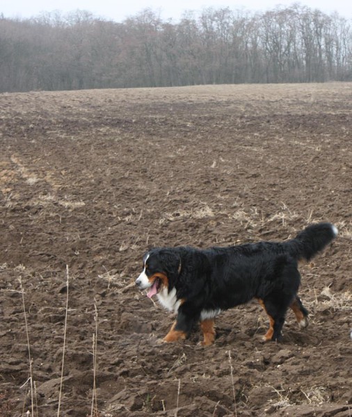 Březen 2012 - společná procházka