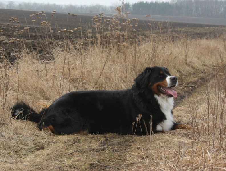 Březen 2012 - společná procházka