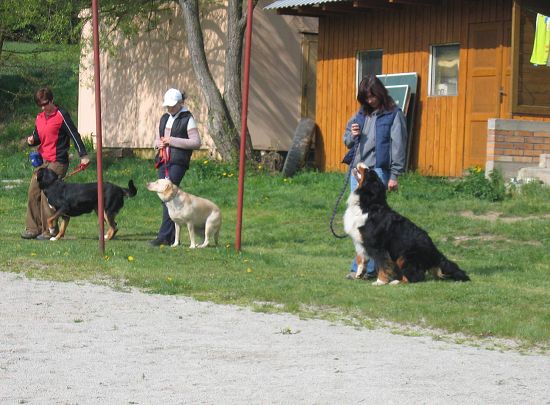 54 - dělám to dobře, paničko .... 