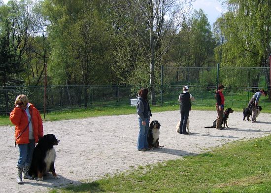 71 - jsme skvělá parta 