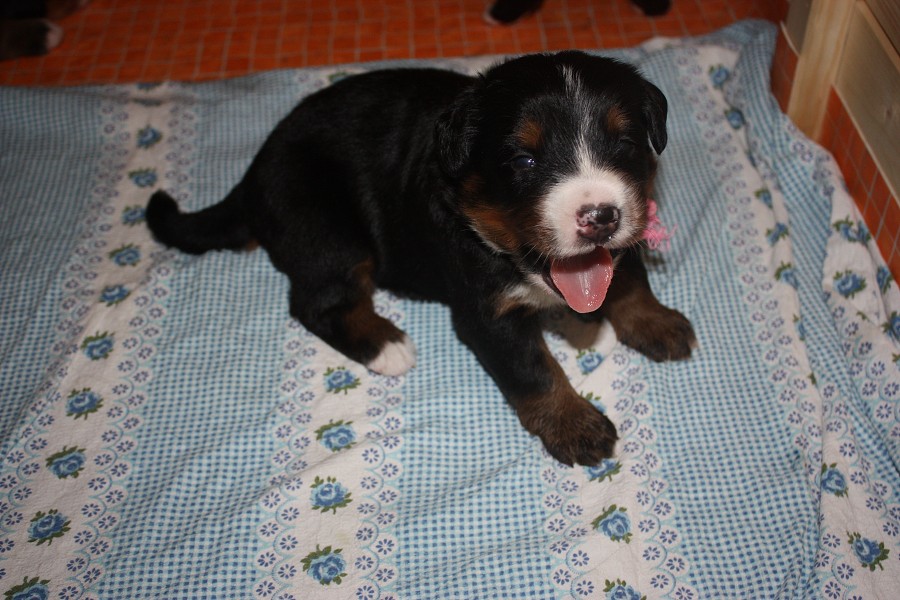 Galerie 3. týden momentky