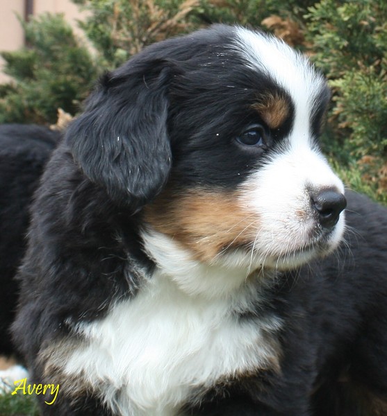 5. tyden galerie - momentky