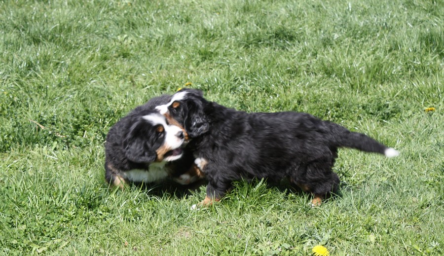 6. tyden galerie momentky