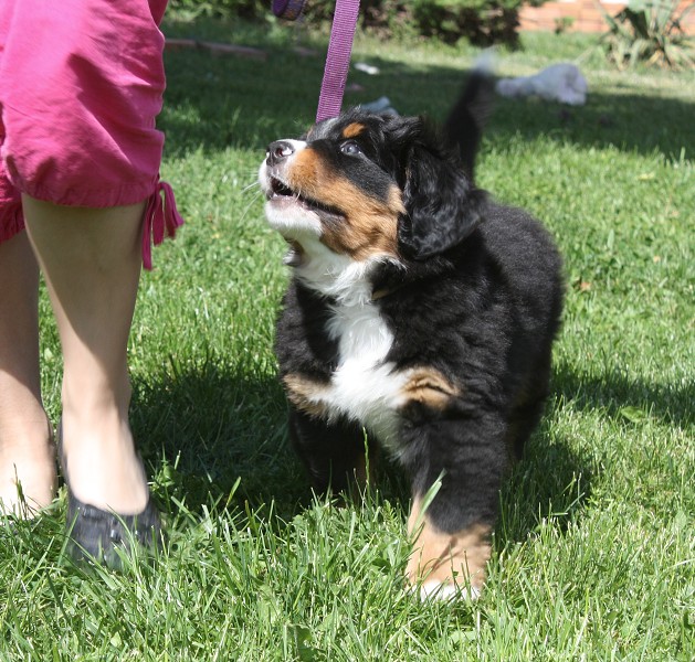 7. týden - Baltic Max Ladyca Bern