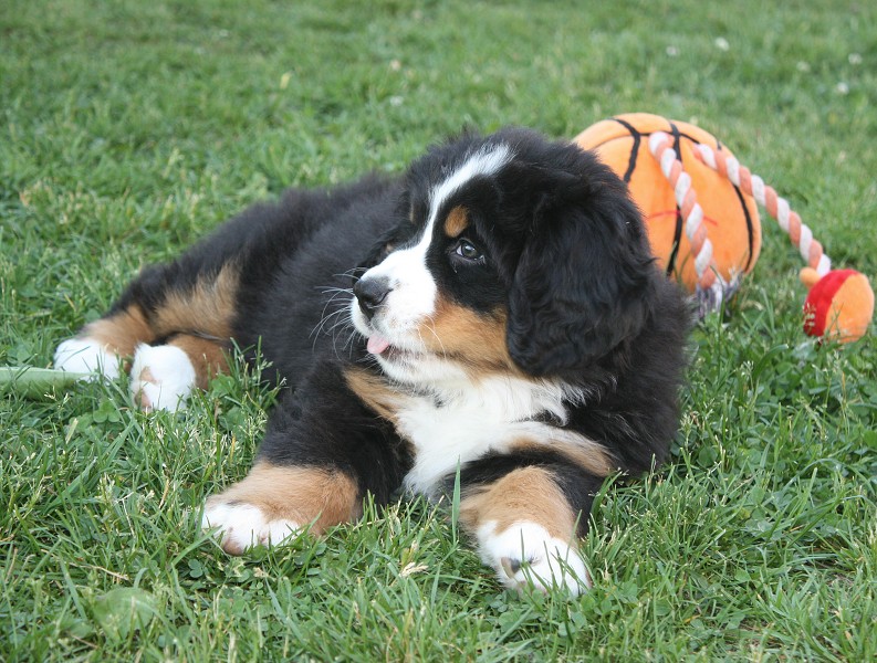 7. týden - Brionny Ruth Ladyca Bern